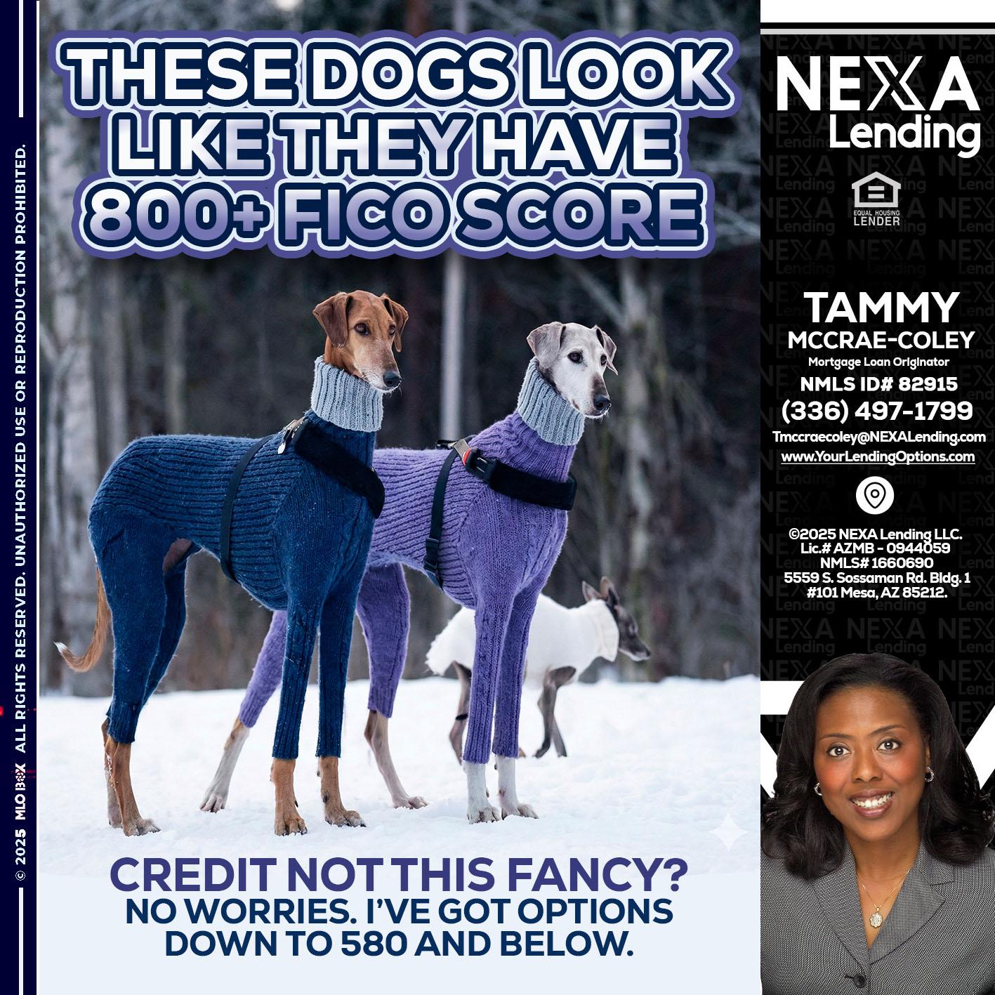 THESE DOGS LOOK - Tammy C. McCrae-Coley -Mortgage Loan Originator